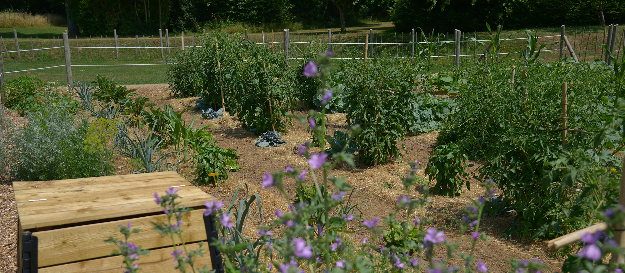 jardinage au naturel bandeau